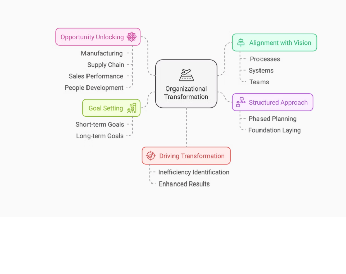 Organisational Transformation